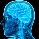 Studies: More Education = Higher IQ For Longer Time