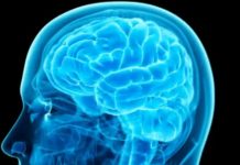 Studies: More Education = Higher IQ For Longer Time