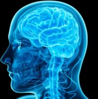 Studies: More Education = Higher IQ For Longer Time