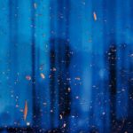 An Expertise In Books Gets You…