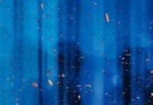 An Expertise In Books Gets You…