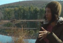 NY State Tries Out A Universal Income For Artists