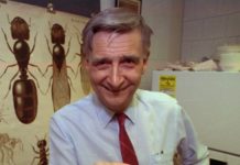 E.O. Wilson, 92, Often Referred To As Darwin’s Successor