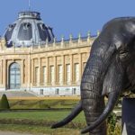 Belgium Agrees To Return Art Looted During Colonial Period To DR Congo