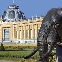 Belgium Agrees To Return Art Looted During Colonial Period To DR Congo