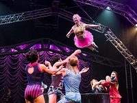 How Could Circus Oz Shut Down So Suddenly? Perhaps It Wasn’t All That Sudden