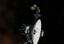 A Case For The Universality Of Western Music