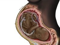 Finally, African Medical Students Are Getting Textbook Drawings That Depict The Black Bodies They’ll Be Treating