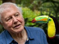 Boris’s Government Says It Will Eliminate The BBC TV License Fee. What Is That? (An Explainer)