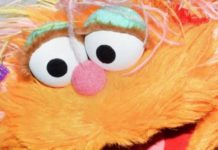 Why A 2004 Two-Muppet-And-A-Rock Clip Went Absolutely Viral In Early 2021