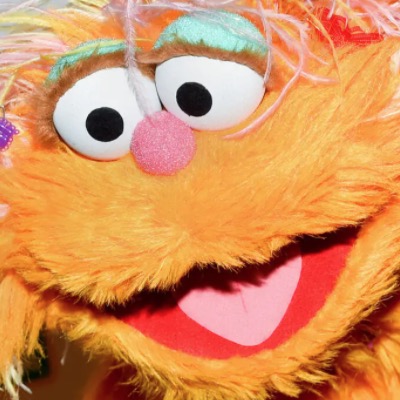 Why A 2004 Two-Muppet-And-A-Rock Clip Went Absolutely Viral In Early 2021