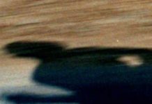 You Can’t Change Your Self