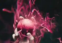 Thanks, Pandemic, For Probably Another Depressing Year At The Box Office