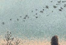 Quitting Social Media Means More Time To Think