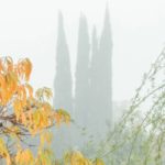 A Novelist Ruminates On Whether Writing Can, And Will, Change The World