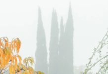 A Novelist Ruminates On Whether Writing Can, And Will, Change The World