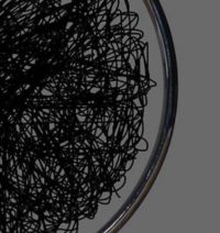 Global Disarray Is Growing. Do We Have The Creativity To Stop It?