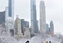 Report: Americans Are Reading Fewer Books