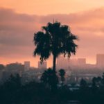 LA Review of Books Founder Talks About The Challenges Of Running A Literary Publication