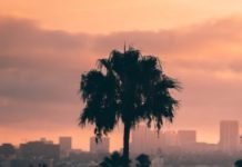 LA Review of Books Founder Talks About The Challenges Of Running A Literary Publication