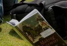 Reconsidering Classic Literature?