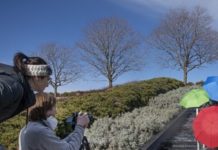 Pivot To Video Is Changing The Performing Arts