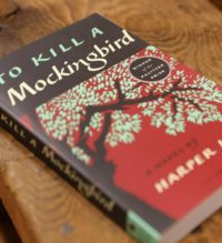 Washington State School District Takes Aim At “To Kill A Mockingbird”