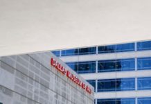 Just How Does The Dallas Museum Of Art Expect To Pay For A Major Expansion?