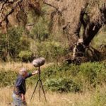 Shaping The Noises Of Animals Into A Grand Symphonic Sound Installation