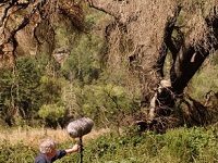 Shaping The Noises Of Animals Into A Grand Symphonic Sound Installation