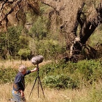 Shaping The Noises Of Animals Into A Grand Symphonic Sound Installation