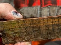 Medieval Runes Discovered In Oslo For First Time In Three Decades