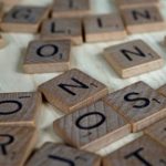 The Place Of Punning In Poetry