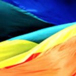 Is Someone Taking These Little Free Library Books To Censor LGBTQIA Content?