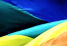 Is Someone Taking These Little Free Library Books To Censor LGBTQIA Content?