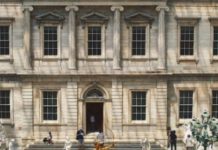 Dear Museums, Stop Building New Wings, And Build A New Staff Instead