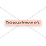 The Hidden Text That Makes The Internet Somewhat Accessible