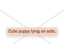 The Hidden Text That Makes The Internet Somewhat Accessible