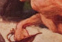 During The Pandemic, We Sometimes Read To Escape