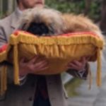 How To Respect The Animals You’re Filming In Up Intimate Moments