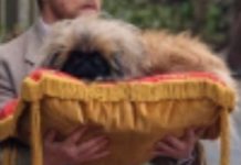 How To Respect The Animals You’re Filming In Up Intimate Moments