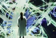 Immersive Art Experiences Are Taking Over