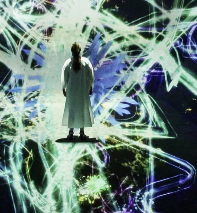 Immersive Art Experiences Are Taking Over