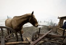 How Three Canadian Museums Are Dealing With Having Mishandled Indigenous History