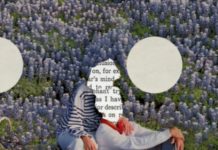 The Case Against The Contemporary American Essay