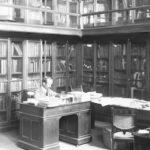 How Libraries Shape Our Literature