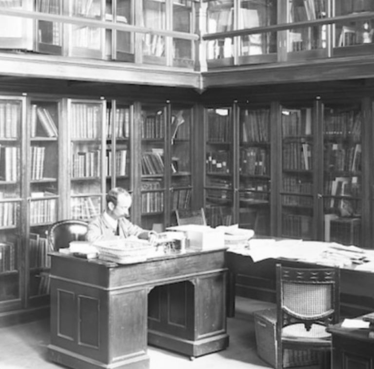 How Libraries Shape Our Literature