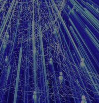 Experts: By 2030, Most Of The Internet Could Be Created By Artificial Intelligence