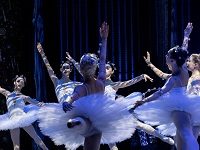 With The Kiev City Ballet In Their Unexpected Exile