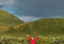 Is Beloved Literary Journal Conjunctions Going To Survive?